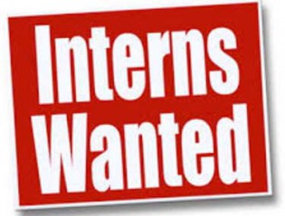 interns wanted